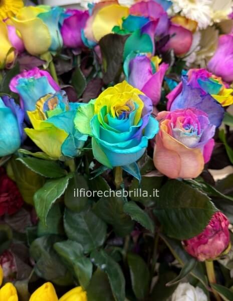 rose raimbow
