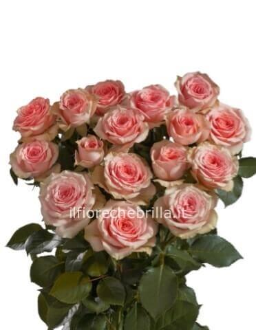 rose rosa 5€ a stelo