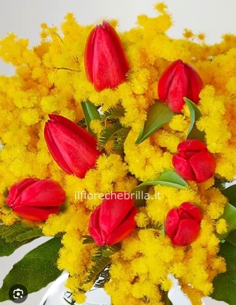 Bouquet tulipani e mimosa