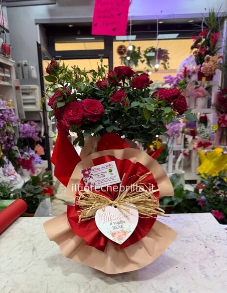 Pianta di rose con cuore