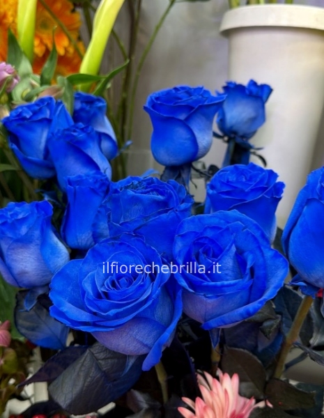 Rose blu acquistare in numero di steli
