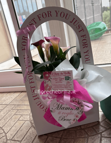 Scatola con pianta di calle