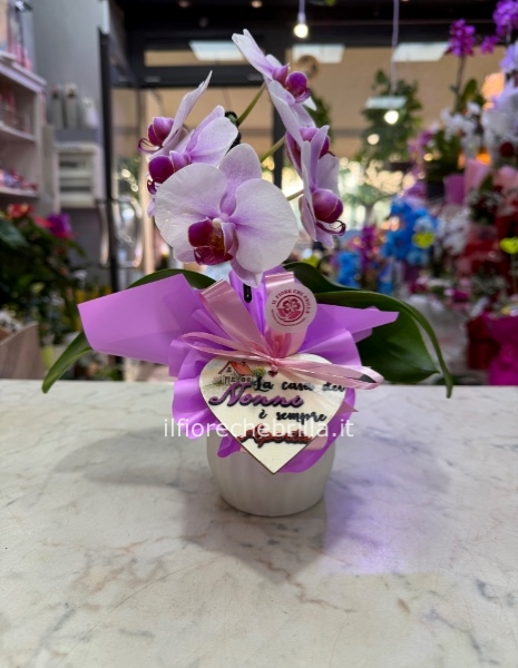 Piantina di orchidea con vasetto e cuoricino