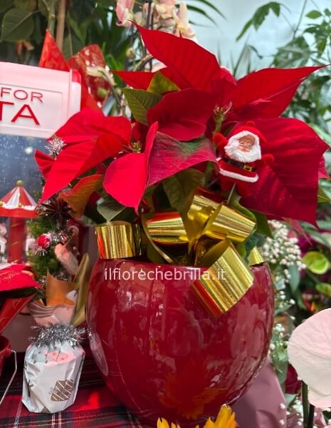 Stella con vaso in ceramica e addobbi