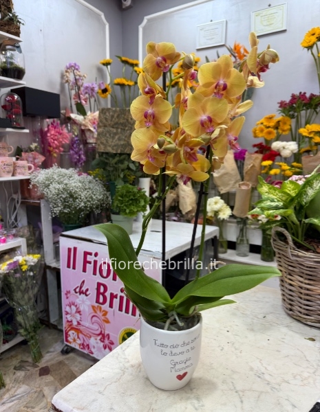 Orchidea con decorazioni per la festa della mamma