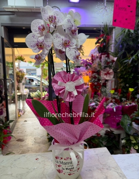 Orchidea con decorazioni per la festa della mamma