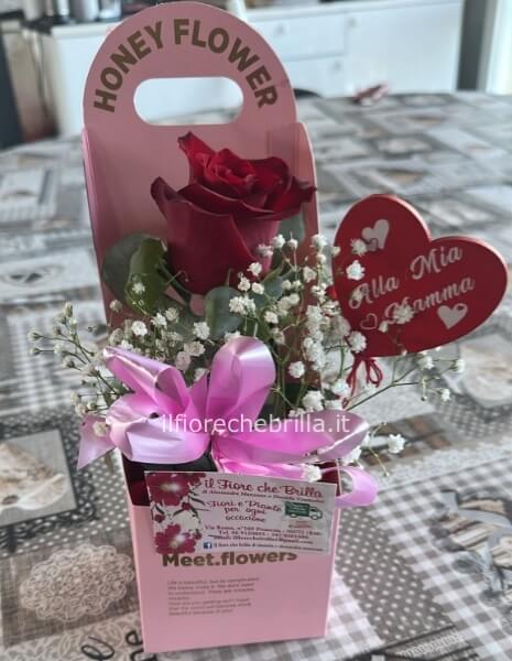 Scatola con 1 rosa